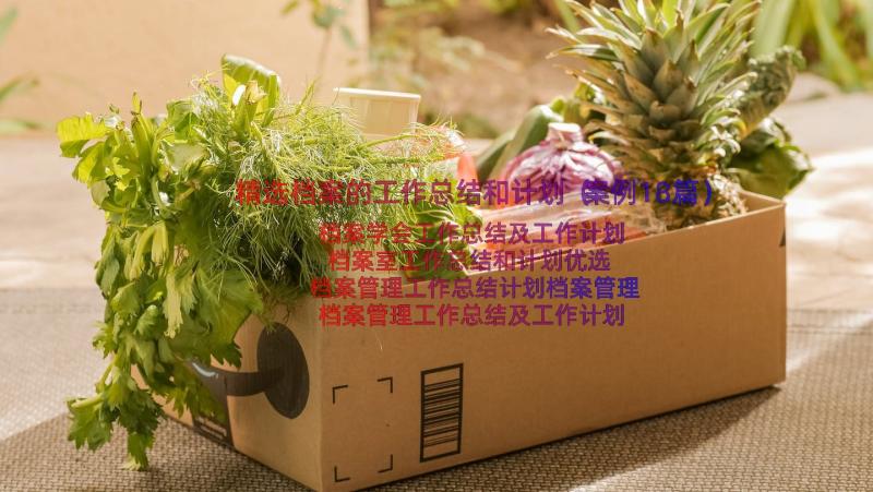 精选档案的工作总结和计划（案例18篇）