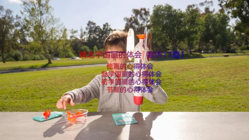 精选学国画的体会（案例17篇）