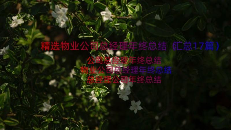 精选物业公司总经理年终总结（汇总17篇）