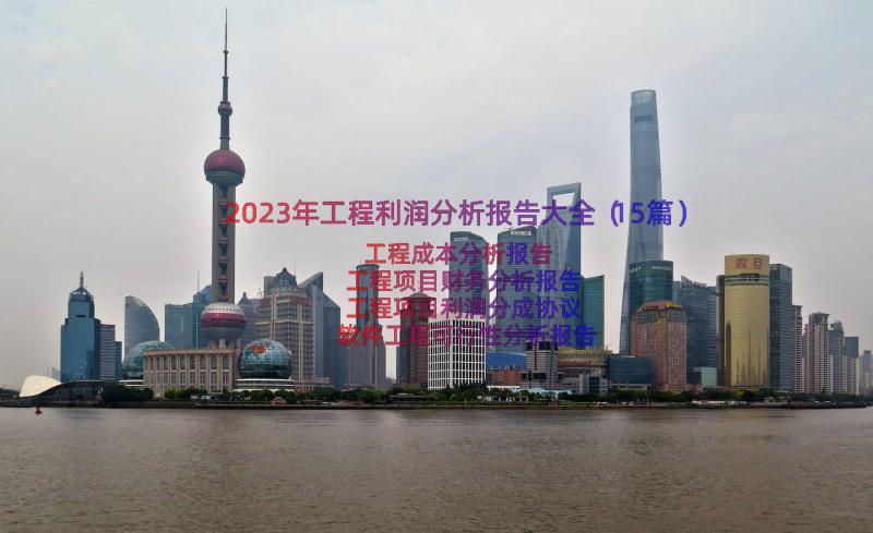 2023年工程利润分析报告大全（15篇）