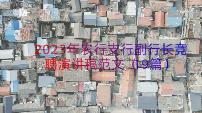 2023年农行支行副行长竞聘演讲稿范文（19篇）