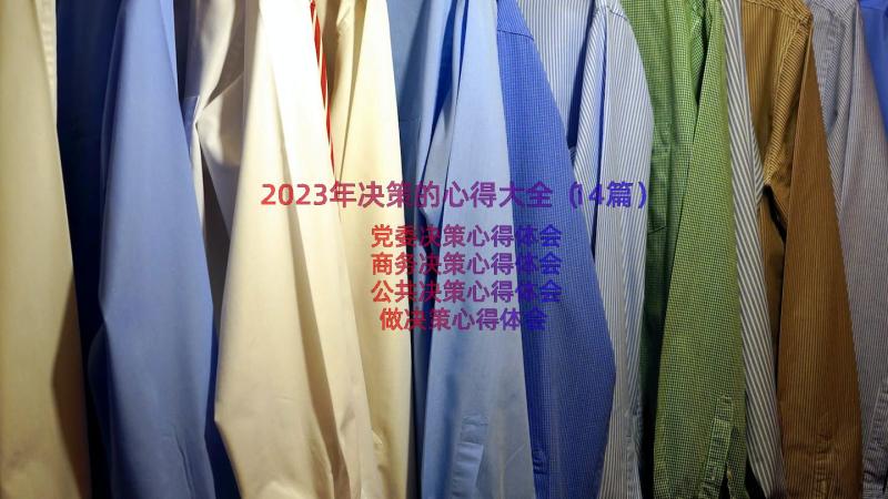 2023年决策的心得大全（14篇）