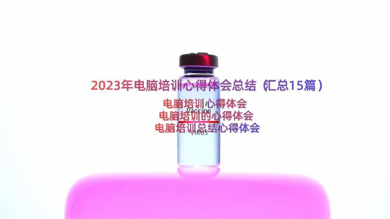 2023年电脑培训心得体会总结（汇总15篇）