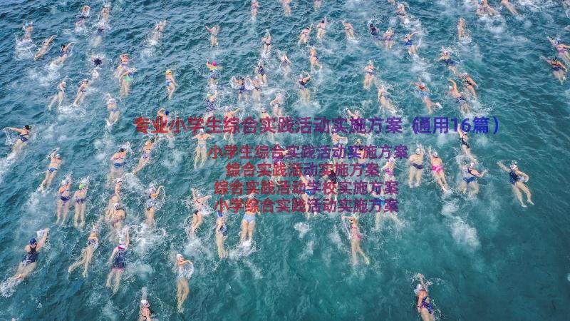 专业小学生综合实践活动实施方案（通用16篇）