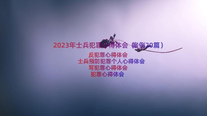 2023年士兵犯罪心得体会（案例20篇）