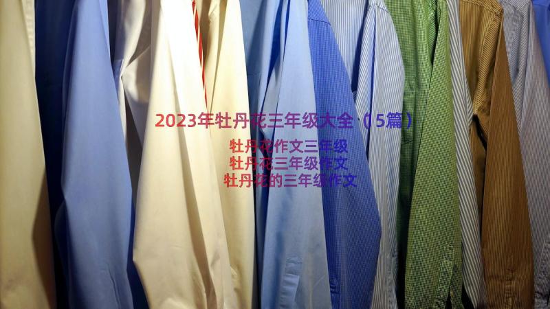 2023年牡丹花三年级大全（15篇）