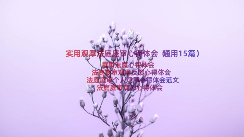 实用观摩法庭庭审心得体会（通用15篇）