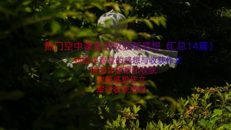 热门空中课堂的收获和感想（汇总14篇）