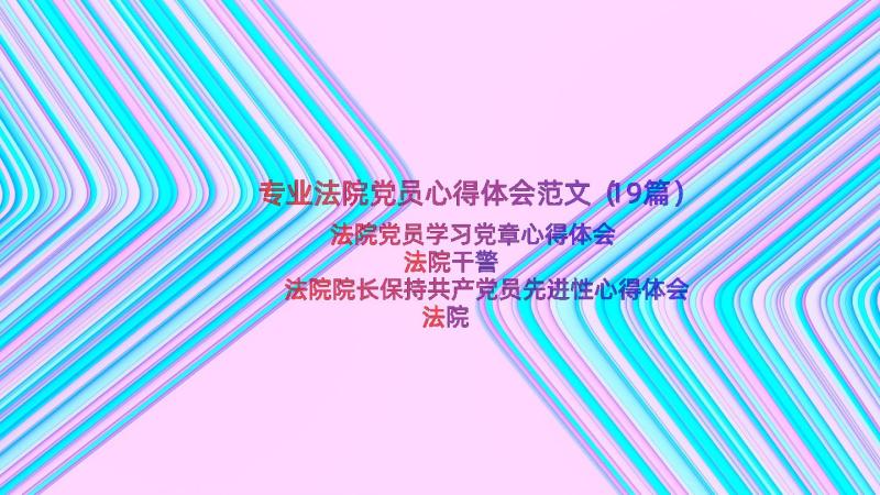 专业法院党员心得体会范文（19篇）