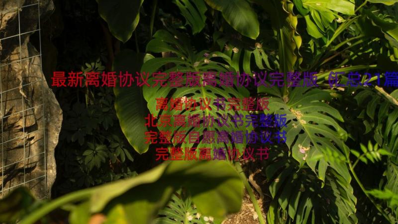 最新离婚协议完整版离婚协议完整版（汇总21篇）