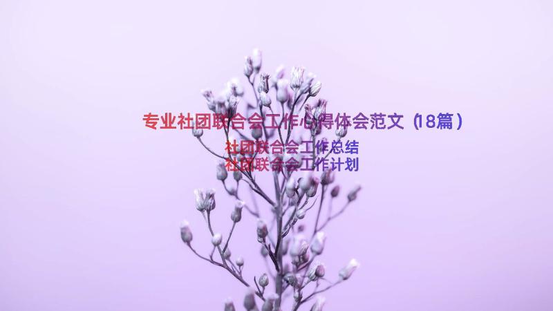 专业社团联合会工作心得体会范文（18篇）