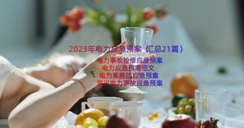 2023年电力应急预案（汇总21篇）