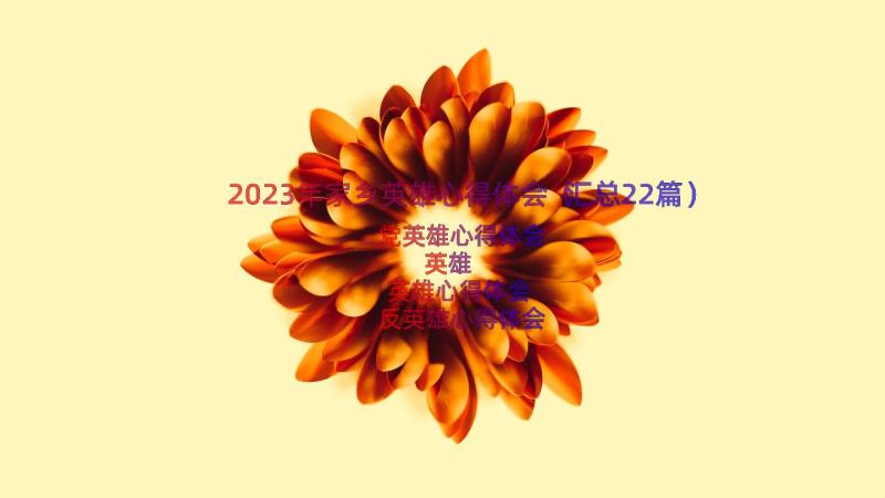 2023年家乡英雄心得体会（汇总22篇）