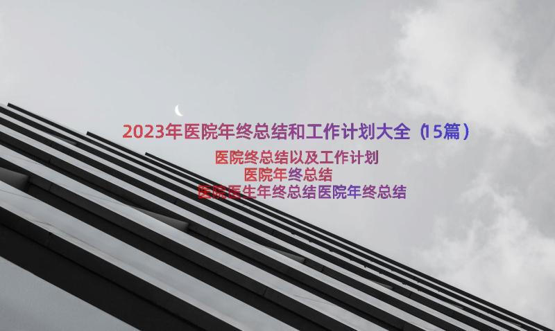 2023年医院年终总结和工作计划大全（15篇）