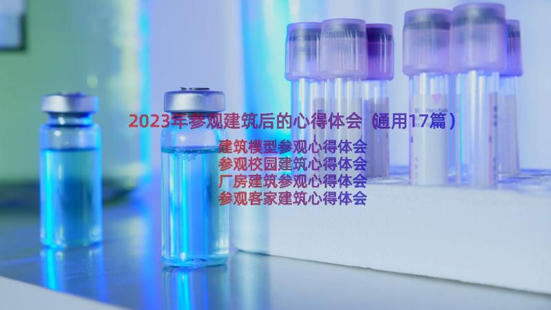 2023年参观建筑后的心得体会（通用17篇）