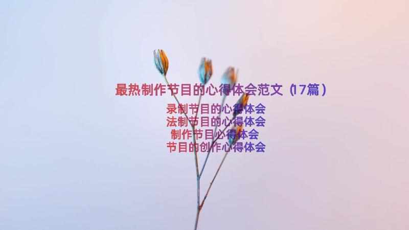 最热制作节目的心得体会范文（17篇）