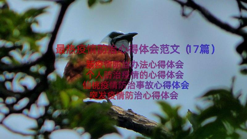 最热疫情防治心得体会范文（17篇）