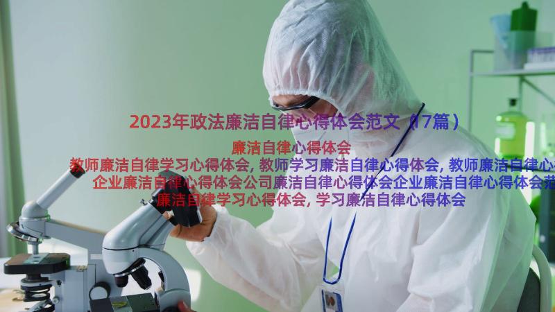 2023年政法廉洁自律心得体会范文（17篇）