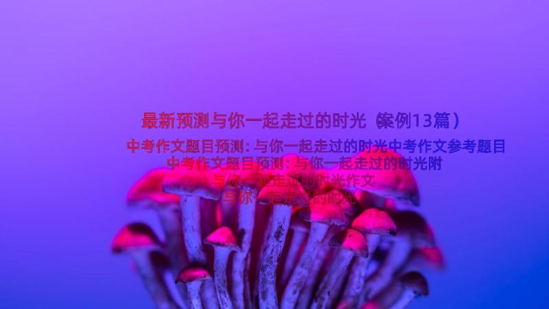 最新预测与你一起走过的时光（案例13篇）