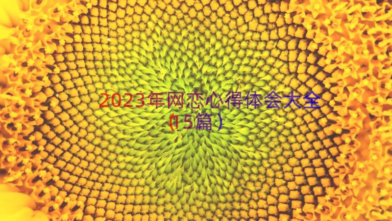 2023年网恋心得体会大全（15篇）