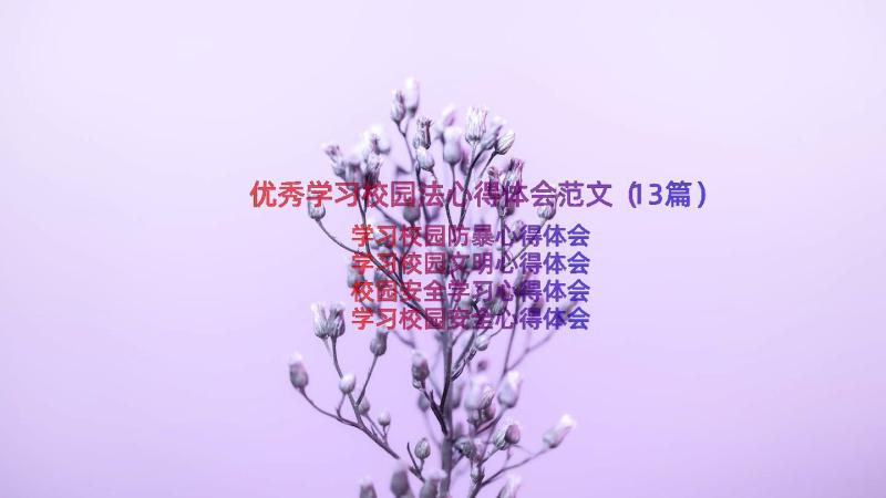 优秀学习校园法心得体会范文（13篇）