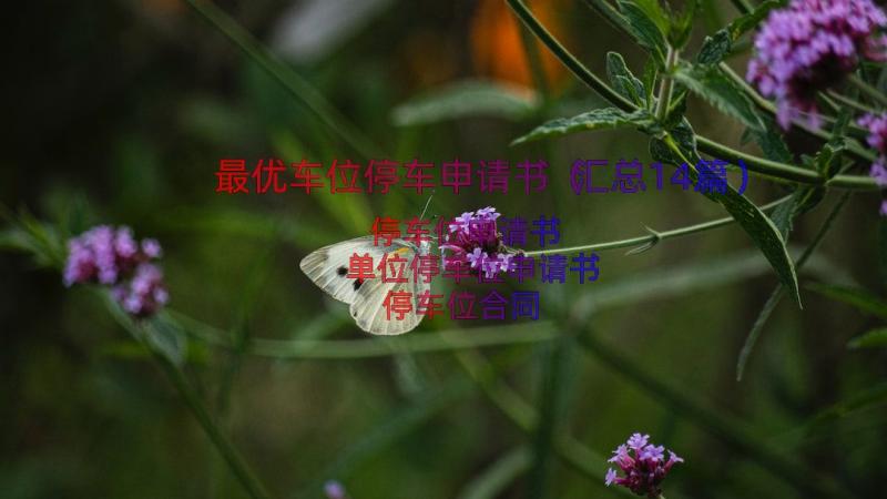 最优车位停车申请书（汇总14篇）