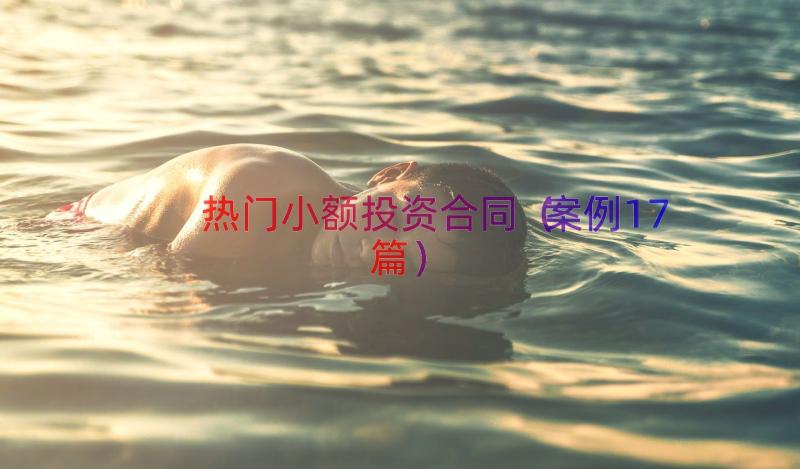 热门小额投资合同（案例17篇）