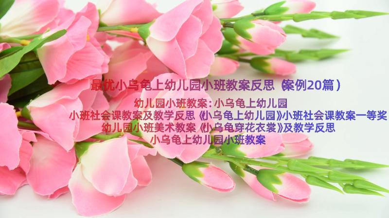 最优小乌龟上幼儿园小班教案反思（案例20篇）