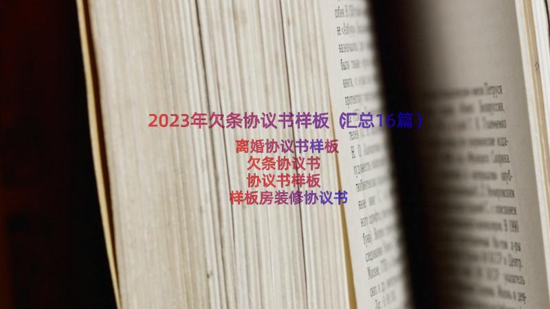 2023年欠条协议书样板（汇总16篇）