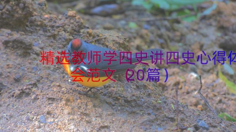 精选教师学四史讲四史心得体会范文（20篇）