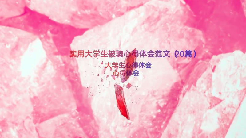 实用大学生被骗心得体会范文（20篇）