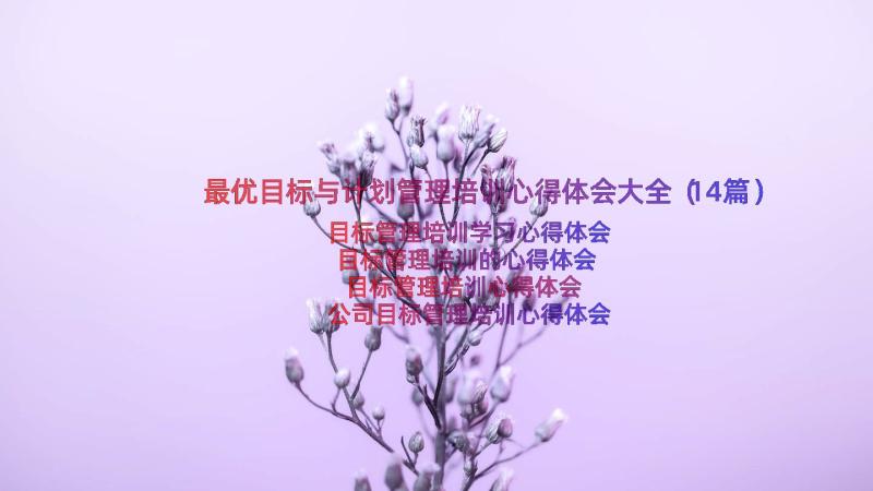 最优目标与计划管理培训心得体会大全（14篇）