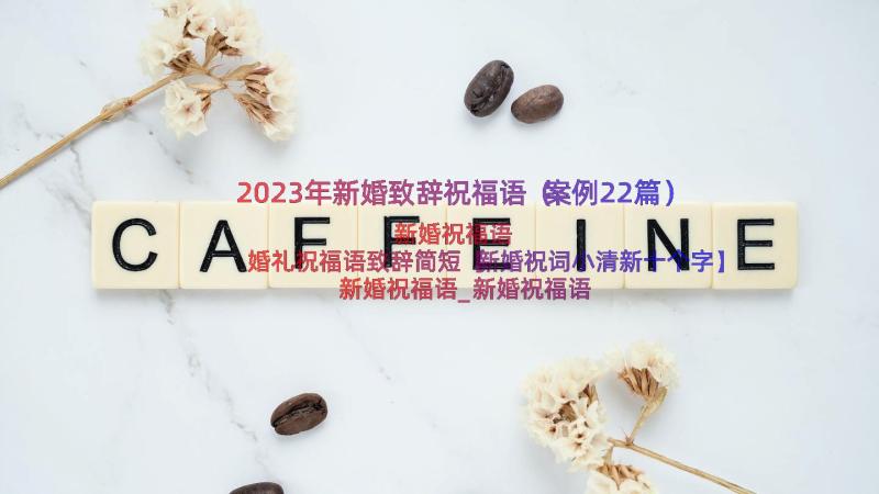 2023年新婚致辞祝福语（案例22篇）