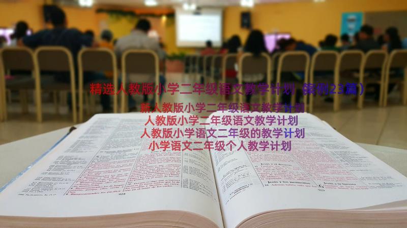 精选人教版小学二年级语文教学计划（案例23篇）