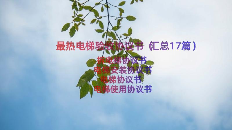 最热电梯验收协议书（汇总17篇）