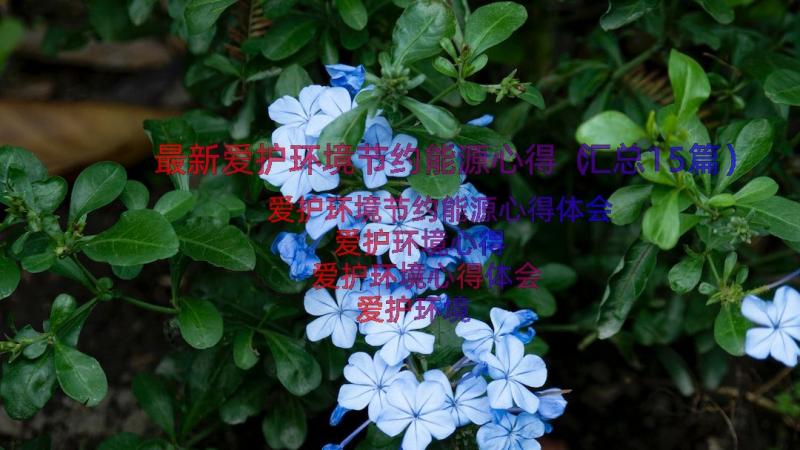 最新爱护环境节约能源心得（汇总15篇）