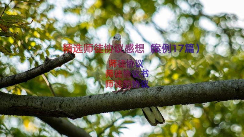 精选师徒协议感想（案例17篇）