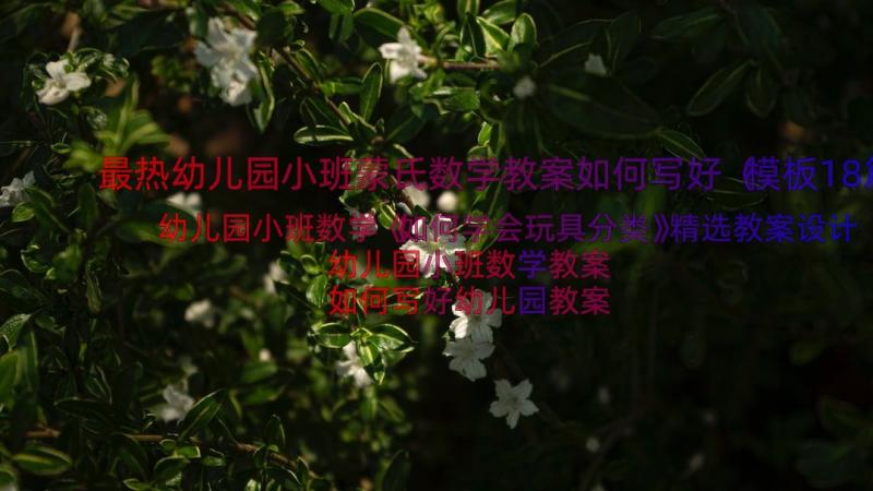 最热幼儿园小班蒙氏数学教案如何写好（模板18篇）