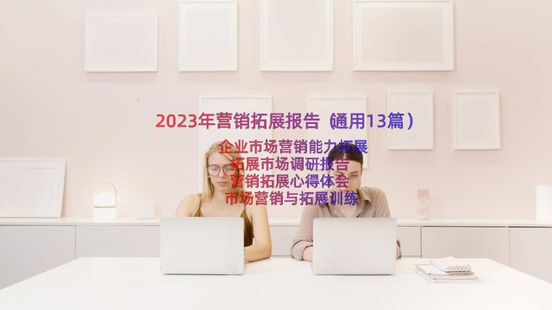 2023年营销拓展报告（通用13篇）