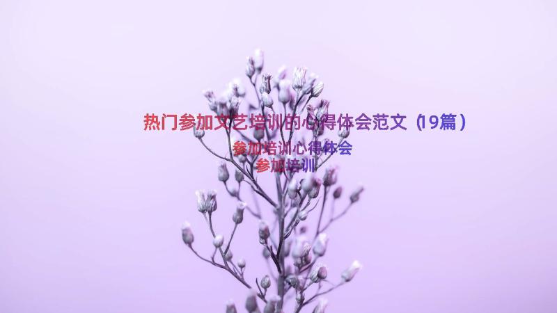 热门参加文艺培训的心得体会范文（19篇）