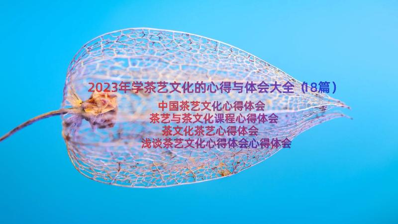 2023年学茶艺文化的心得与体会大全（18篇）