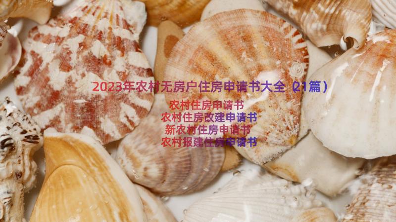 2023年农村无房户住房申请书大全（21篇）