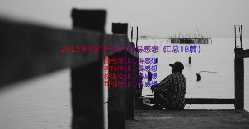 2023年风控培训的心得感想（汇总18篇）