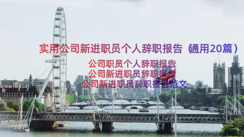 实用公司新进职员个人辞职报告（通用20篇）