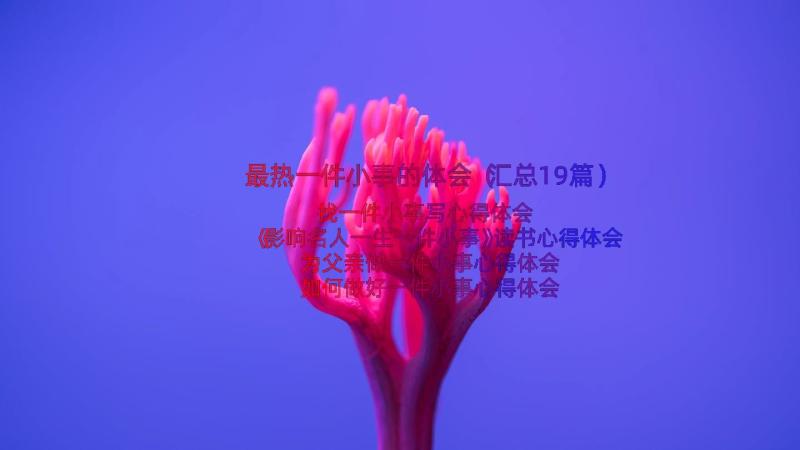 最热一件小事的体会（汇总19篇）