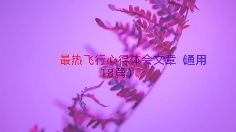 最热飞行心得体会文章（通用18篇）