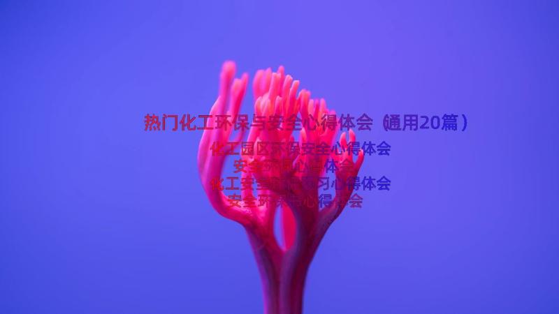 热门化工环保与安全心得体会（通用20篇）