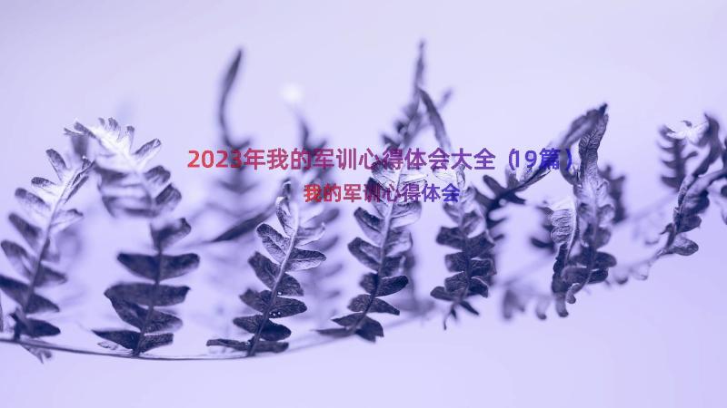 2023年我的军训心得体会大全（19篇）