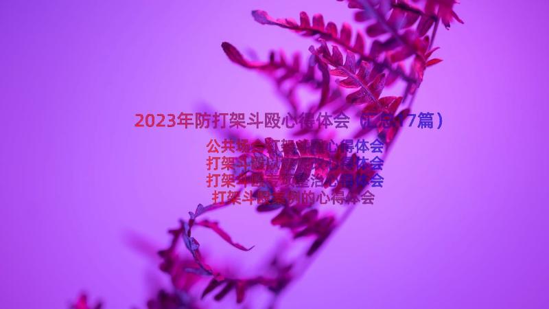 2023年防打架斗殴心得体会（汇总17篇）