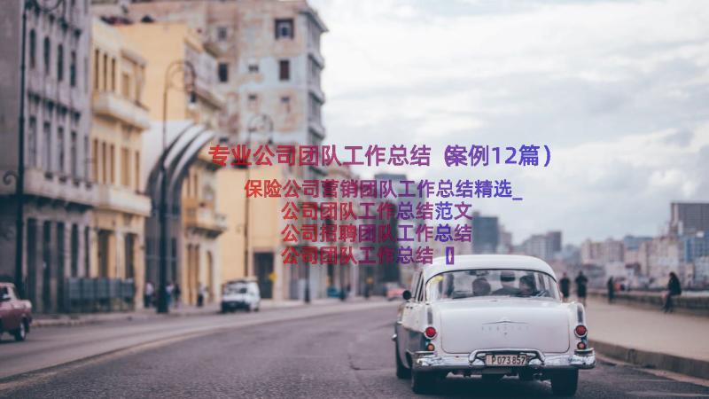 专业公司团队工作总结（案例12篇）